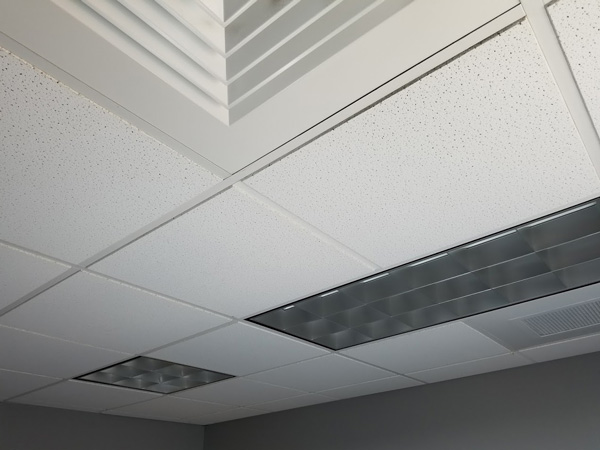 Ctm ceiling lights discount